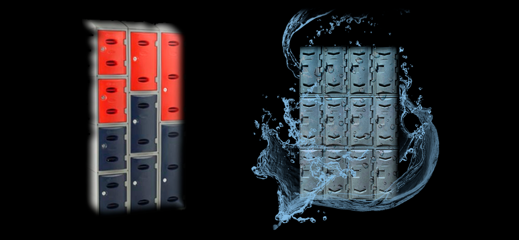 Descripción de la imagen