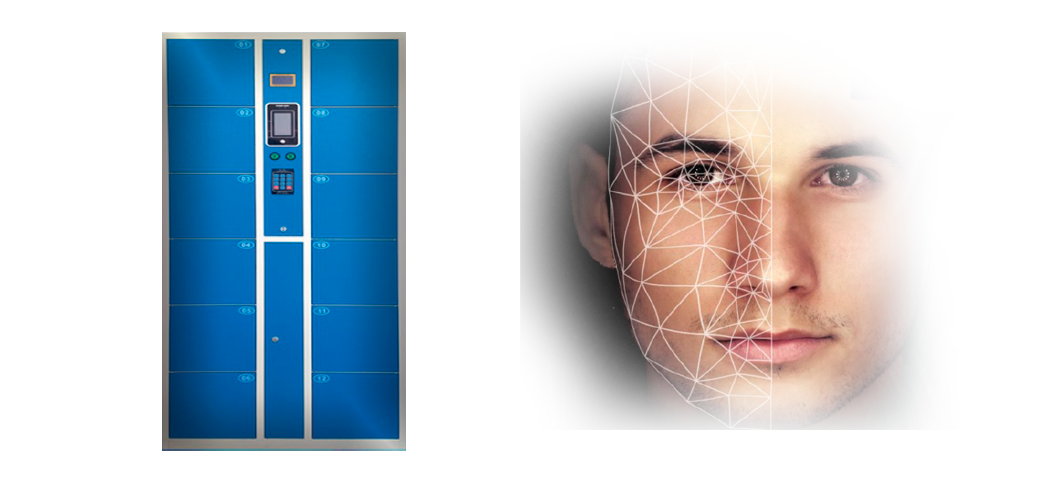 Descripción de la imagen