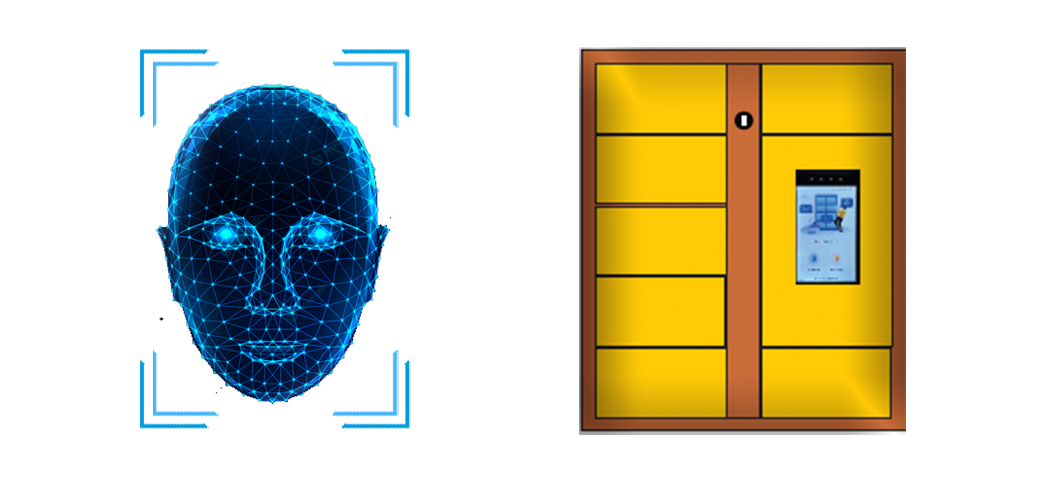 Descripción de la imagen