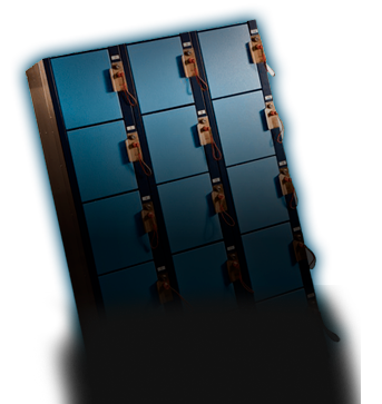 Descripción de la imagen